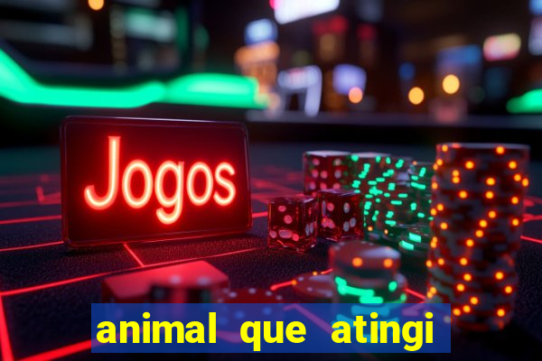 animal que atingi 230 decibeis